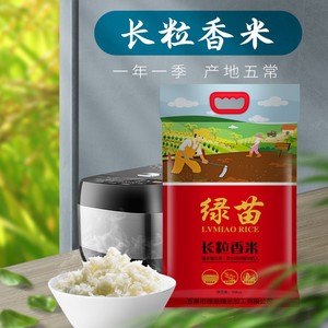 绿苗五常大米
