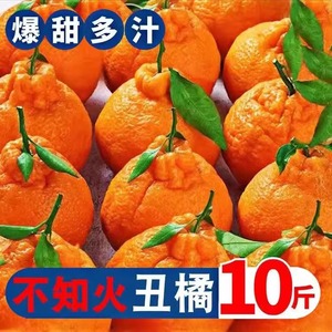 四川不知火丑橘水果新鲜当季整箱10斤丑八怪耙耙桔柑橘子粑粑包邮