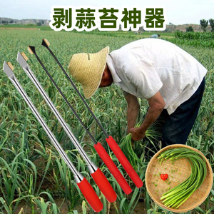 挖蒜苔工具