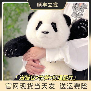 熊猫工厂五月龄萌兰和花花仿真熊猫玩偶毛绒玩具情人节礼物女公仔