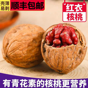 血核桃