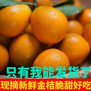 阳朔油皮金桔