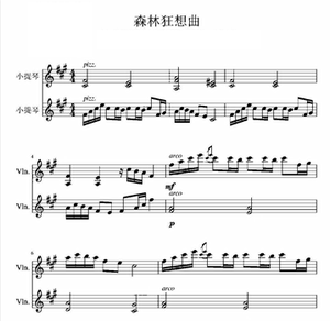 森林狂想曲-吴金黛-小提琴谱-小提琴二重奏谱 小提琴谱5页 送伴奏