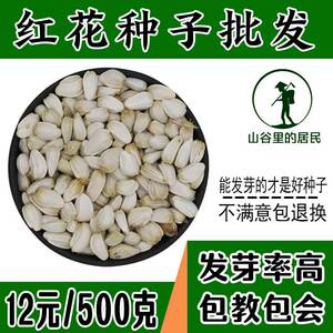 红花种子优质草红花籽非藏红花种子新疆刺红花子干净无杂质包芽率