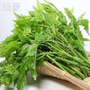 三月野菜