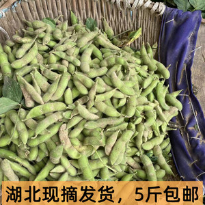 毛豆湖北农村新鲜现摘嫩生毛豆角青豆鲜毛豆荚绿豆荚带壳5斤包邮