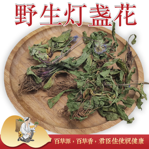云南中药材正品野生灯盏花全草小棵野生带根新货无硫灯盏细辛包邮