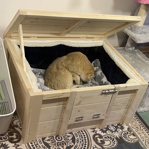 猫产房狗笼实木猫产床猫用狗房猫笼猫狗狗窝狗产房孕期安全怀孕窝