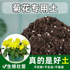 菊花专用土雏菊花营养土盆栽养花种花土通用种植土壤肥料腐殖土