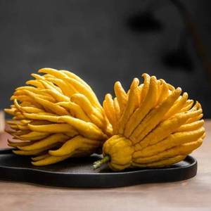 新鲜佛手果