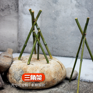 竹子支架三脚架支撑三脚架子摆件绿色竹子竹筒新鲜竹天然花艺支撑