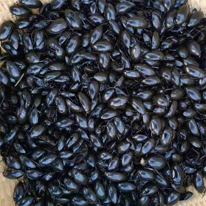 水鳖子-淘宝拼多多热销水鳖子货源拿货 - 阿里巴巴货源