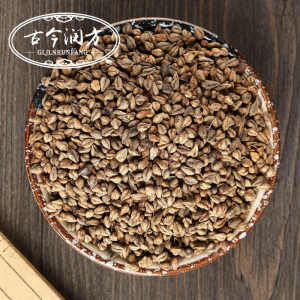中药材荞麦子带壳荞麦子金荞麦籽