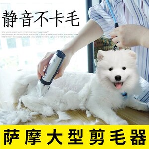 给狗剃毛的电动推子-淘宝拼多多热销给狗剃毛的电动推子货源拿货 - 阿