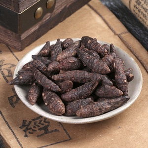 中药材香附500g 雀头香 莎草根 香附子 雷公头 三棱草根 苦羌头