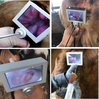 人工便携式牛场犬牛用可视输精枪牛内h窥镜授精枪牛输精枪改良用