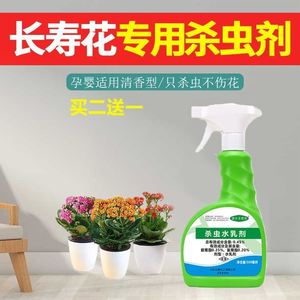长寿花杀虫剂专用杀虫药家用绿植除虫药植物驱虫药养花土壤虫子药