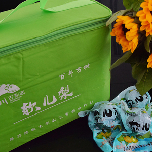 兰州软儿梨甘肃特产水果梨新鲜冻梨化心梨真空10斤装特级高端礼盒