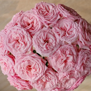 美花美家粉之妍玫瑰大花头逸禾基地直发春节情人节鲜花顺丰航空