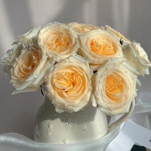 奶油小生奶油杯玫瑰暖玉玫瑰情人节春节求婚鲜切花昆明顺风航空