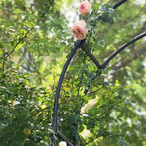 欧式庭院拱门花架爬藤架 花园装饰园艺支架蔷薇月季攀爬植物架子