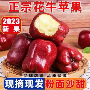 减肥花牛苹果脆甜甘肃天水红蛇粉面果5斤红蛇果苹果当季新鲜水果