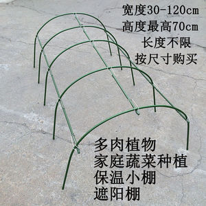 小型蔬菜保温棚