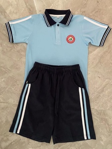 中心小学的校服小学生