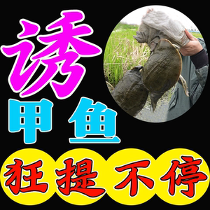 甲鱼小药 甲鱼饲料 甲鱼狂提 纯野生甲鱼诱老鳖王八全套甲鱼神器
