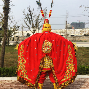 西游记孙悟空演出服披风齐天大圣美猴王绣龙披风虎纹亮片披风戏剧