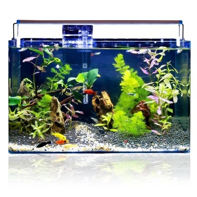 生态鱼缸造景套餐长方形