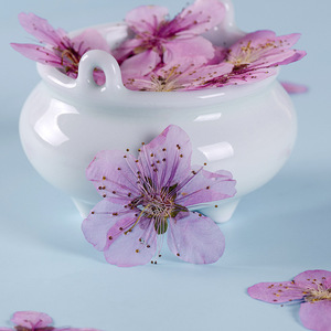 桃花 干花押花压花diy干花书签滴胶手机壳 植物标本 树叶贴画