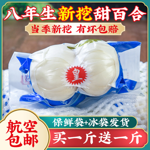 兰州新挖新鲜甜百合500g食用白合甘肃特产非干货特级生百合干包邮