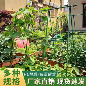 黄瓜豆角西红柿架杆花架爬藤支架庭院户外种菜专用爬藤植物支撑杆