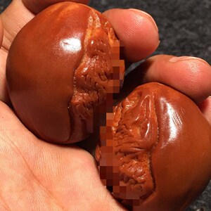 橄榄核雕女阴生命之源橄榄核手串印尼超大进口单籽手球文玩手把件