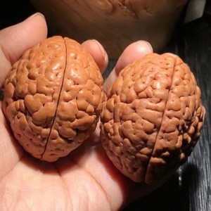 00博雅文玩999淘宝三瓣脑纹大金刚  脑纹金刚 脑纹金刚菩提 保健球