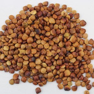 牧马山地瓜种子种籽水果凉薯特大香甜早熟白番薯沙葛土瓜四季四川