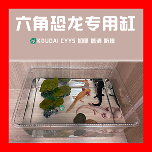 六角恐龙专用鱼缸饲养盒金鱼锦鲤亚克力鱼缸高透明超大容量乌龟缸
