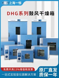 上海一恒电子电热恒温鼓风干燥箱实验室DHG9030A工业烘箱烤箱