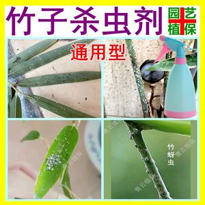 紫竹毛竹子凤尾竹冬青珊瑚树黑腻虫蚜虫专用杀虫剂生病除虫打虫药