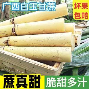 白甘蔗新鲜