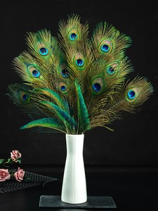 孔雀毛真羽毛插画的花瓶摆件点翠扇子耳环装饰采耳客厅饰品婚庆家