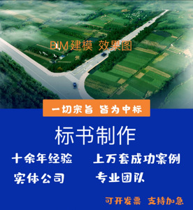 代做施工组织设计标书定制招投标方案技术标施工方案BIM效果图平