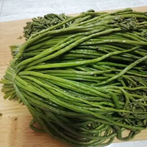 东北咸蕨菜长白山野生蕨菜腌制农家绿色腌制咸菜新货