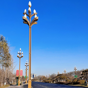 灯罩户外灯防水高杆灯新农村超亮道路灯金豆抱杆飞机火炬1人付款45