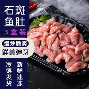 [5盒装]石斑鱼肚新鲜活冻鱼肚鱼泡鱼鳔冷冻石斑鱼肚鱼胶花胶水产