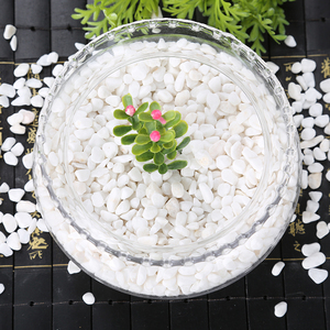 天然白色鹅卵石白石子庭院造景铺路多肉铺面石花盆栽鱼缸铺底石头