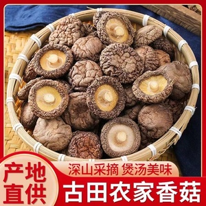 福建古田农家蘑菇干香菇干货250g包邮小香菇花菇散装毛重