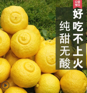 湖南黄金贡柚10斤新鲜水果应当季春香桔柚黄肉柚子甜整箱pp