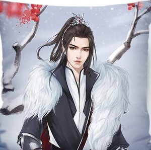 橙光游戏玉人歌男主萧玉珩哥哥抱枕周边订制q来图定制